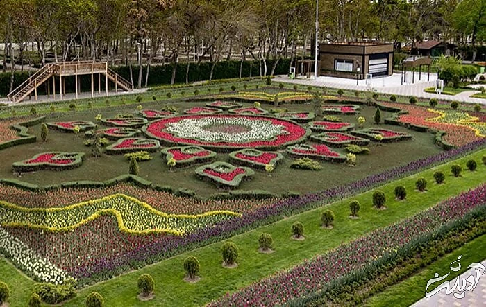 تصاویر زیباترین فرش‌های گل جهان | راهکار بروکسل برای پهن کردن یک فرش گل زیبا | وجه تمایز فرش گل محلات و فرش گل کرج را ببینید